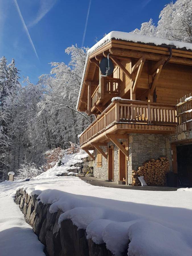 Gîte pour 9 personnes, avec terrasse ainsi que vue et jardin, animaux acceptés à La Côte-d'Arbroz - 3