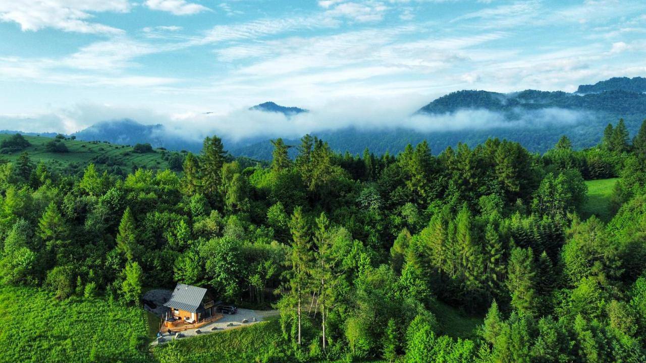 Wlesie Domek w Górach Pieniny in Krościenko nad Dunajcem, Karpaty (Polska)
