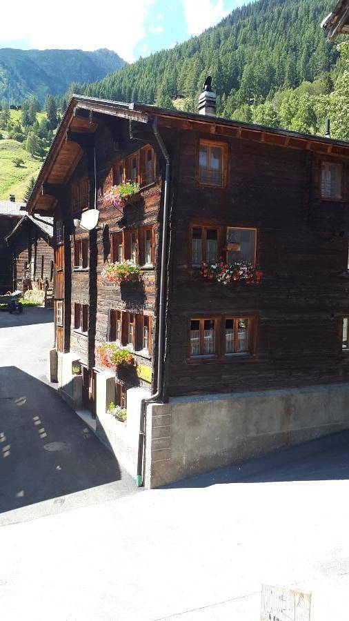 Ferienwohnung für 4 Personen, mit Terrasse und Garten sowie Ausblick in Reckingen-Gluringen - 4