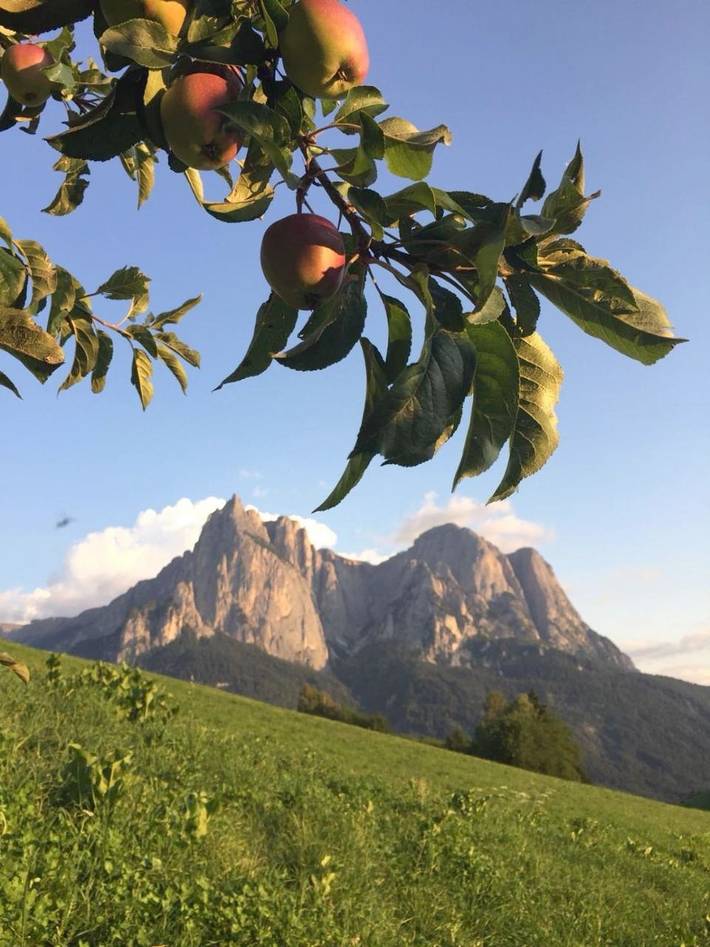 Bnb für 2 Personen, mit Balkon und Terrasse sowie Garten in Südtirol - 3