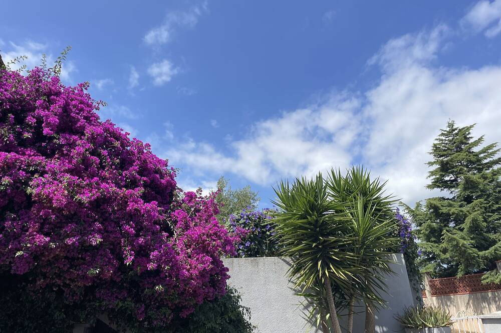 Garden level in Ajaccio, Ajaccio und Umgebung