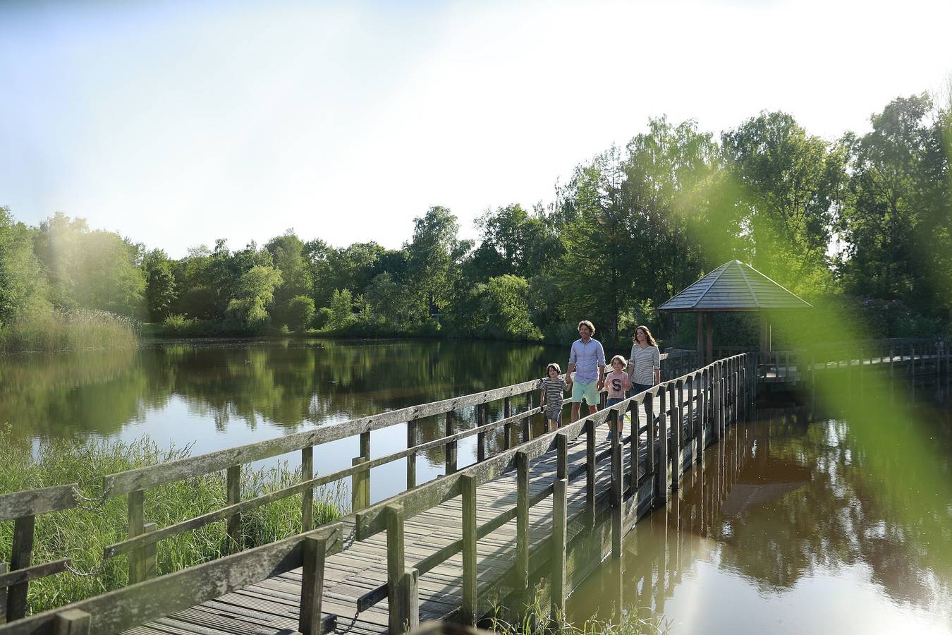 Cottage  5 personen in Limburg