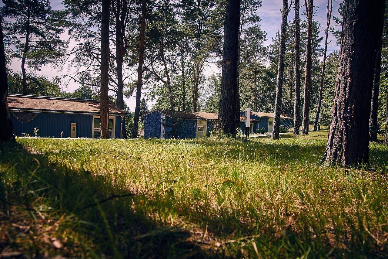 Ferienhaus "Waldhäuser Himmelpfort" in Himmelpfort, Ruppiner Seenland