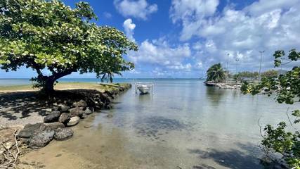 Gîte pour 4 personnes, avec piscine et jardin dans Uturoa