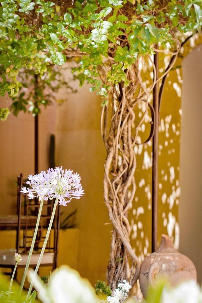 Location de vacances pour 3 personnes, avec jacuzzi et terrasse à Besse-sur-Issole - 4