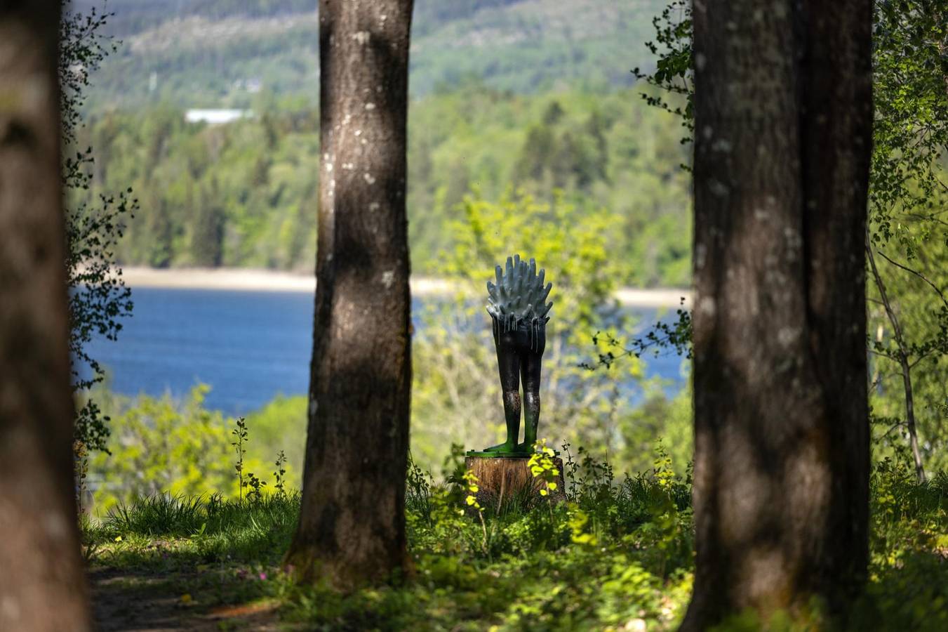 Mikrohuset Grønn - 20 min fra Osl - Kunsthage Sauna in Viken