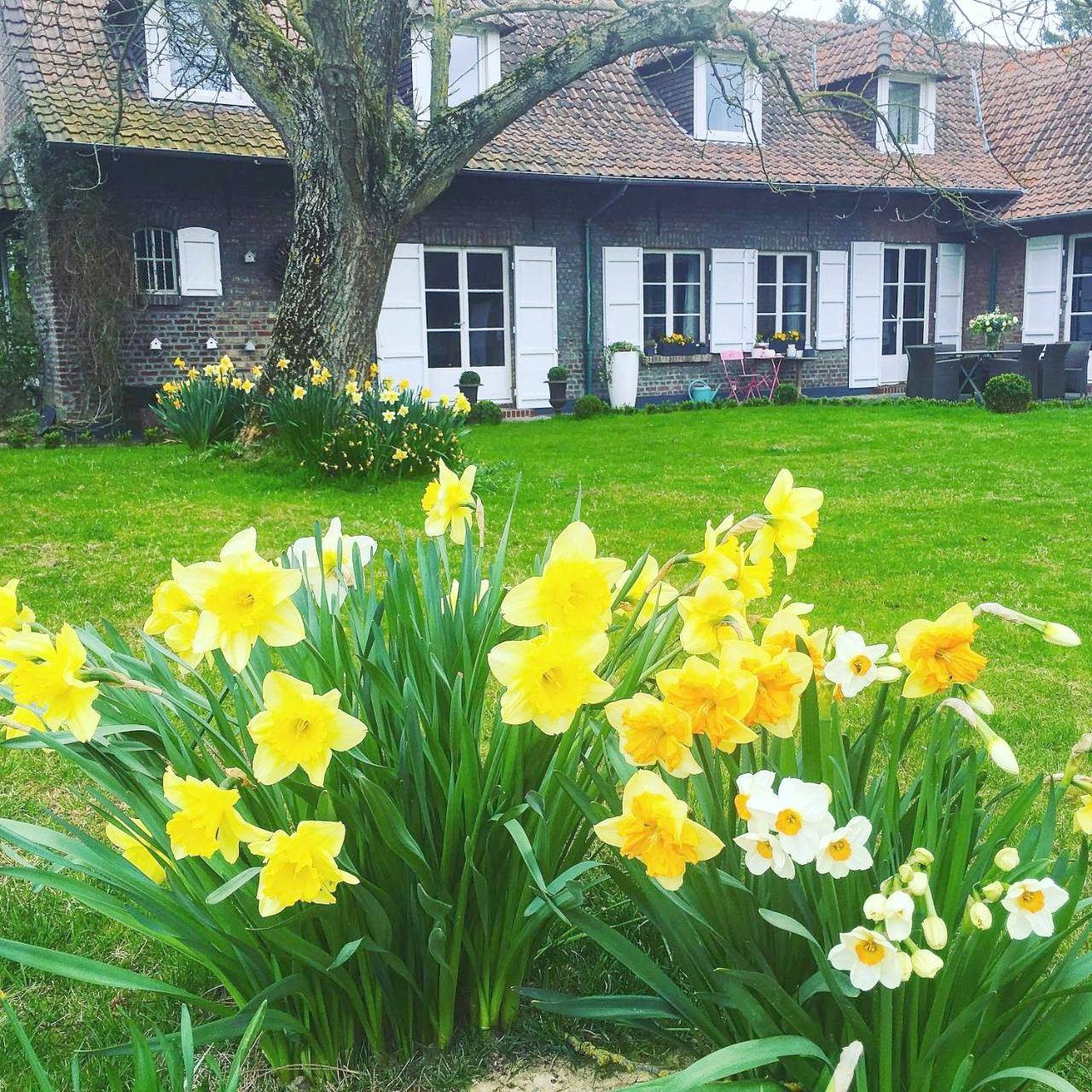 Double Room with Pool View in Bondues, Région de Lille
