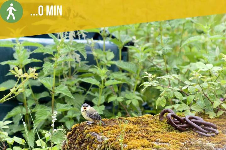 Location de vacances pour 11 personnes, avec vue et jardin à Bétaille - 2