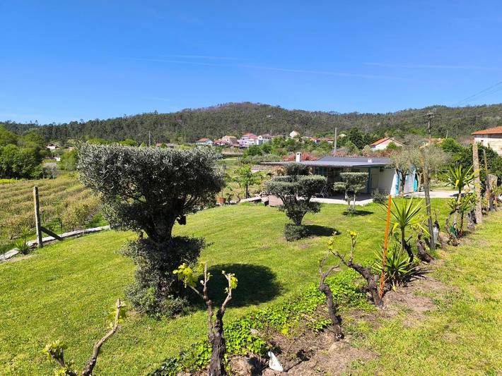 Parc de vacances pour 4 personnes, avec jardin et vue ainsi que terrasse et piscine, animaux acceptés dans Castro Daire - 2
