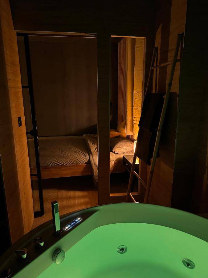 Gîte pour 3 personnes, avec jacuzzi à Mulhouse - 4