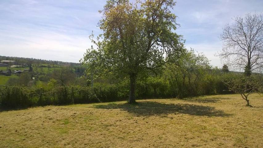 Location de vacances pour 8 personnes, avec jardin et vue, animaux acceptés à Ménil-Vin - 3