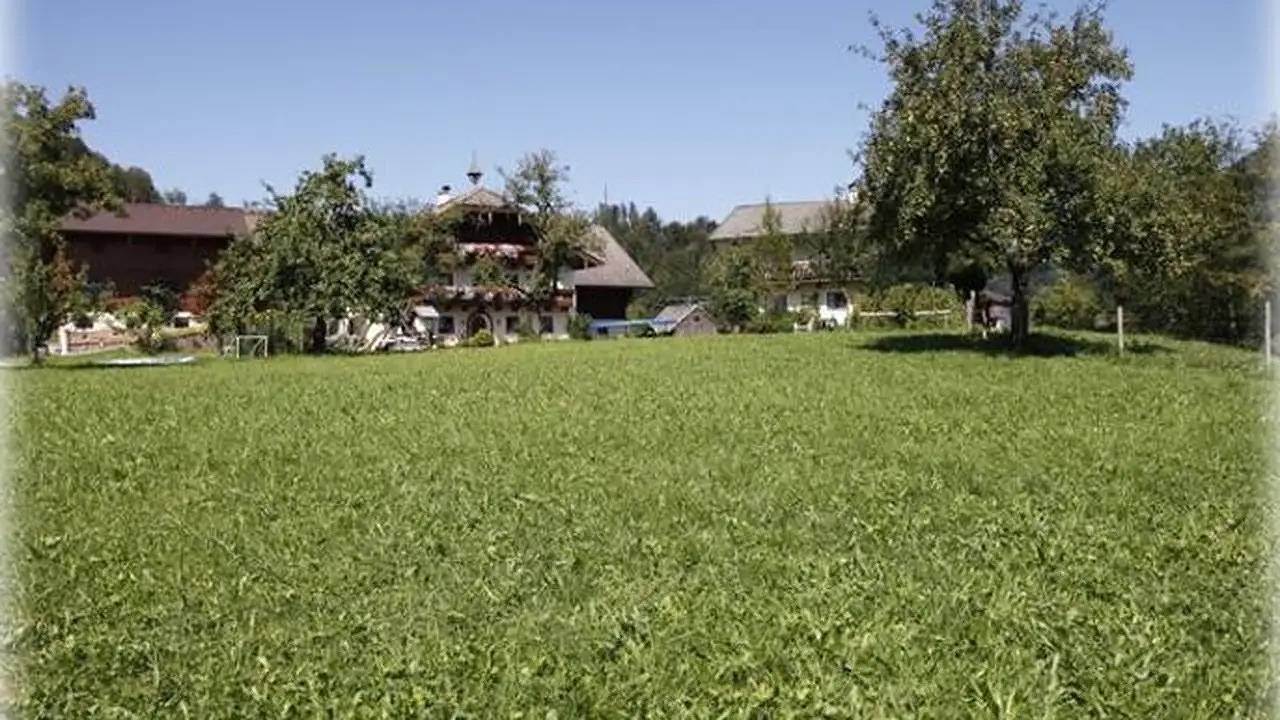 Ganze Ferienwohnung, Ferienwohnung für 4 Personen (30 m²) in Faistenau in Salzkammergut-Berge, Faistenau