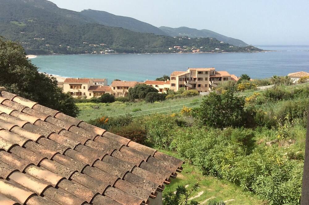Villa d'architecte avec un jardin de 1600 m arboré in Tiuccia, Calcatoggio