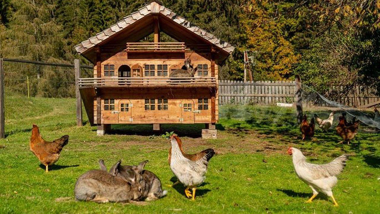 Ganze Ferienwohnung, Ferienwohnung für 5 Personen (55 m²) in Forstau in Forstau, Ski Amadé