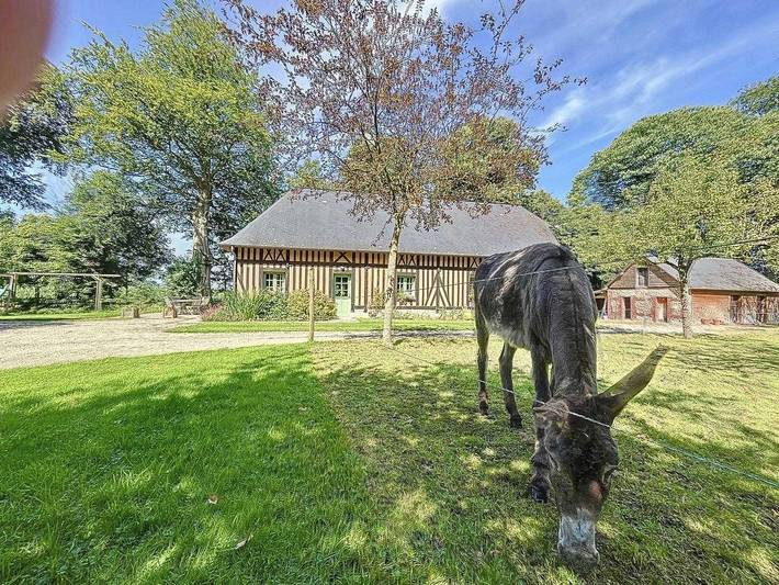 Gîte pour 7 personnes, avec jardin et terrasse, animaux acceptés dans Auberville-la-Campagne