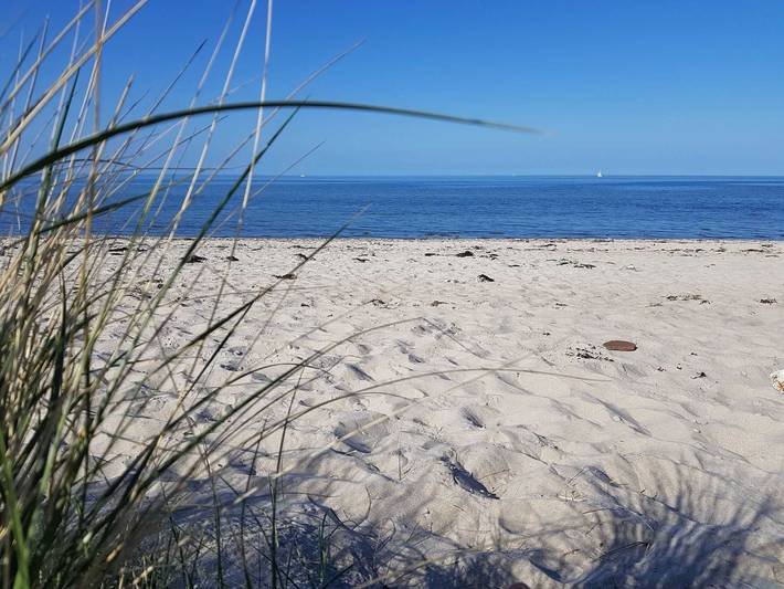 Ferienhaus für 5 Personen, mit Garten und Sauna, kinderfreundlich in Gelting - 3