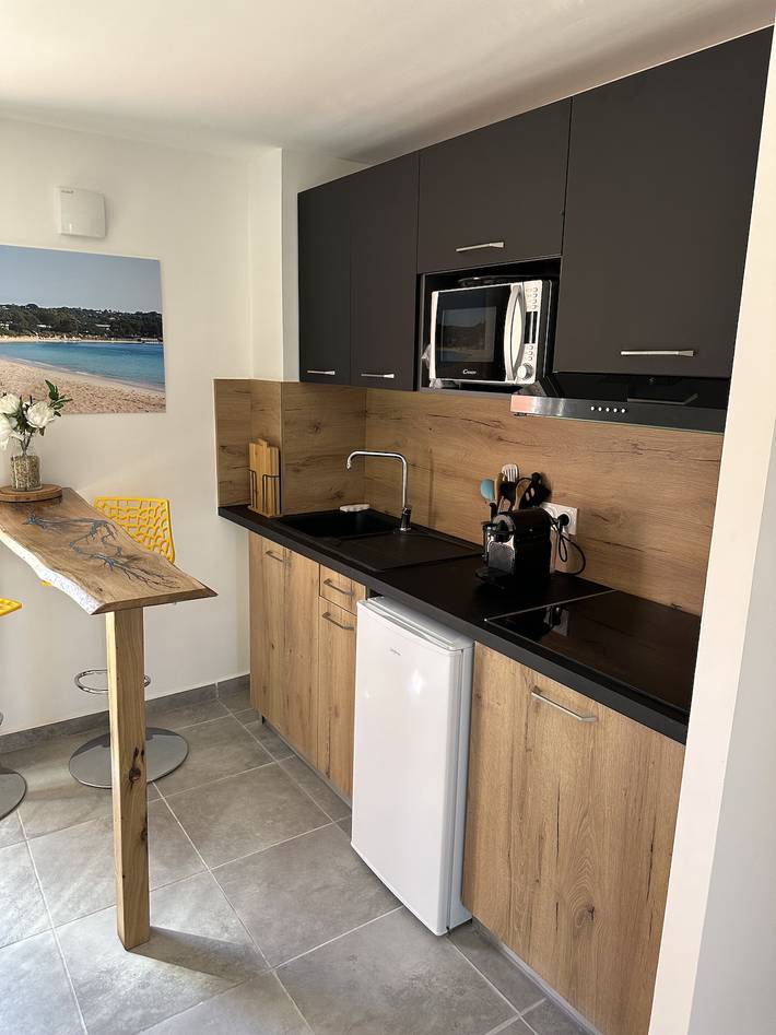 Gîte pour 4 personnes, avec terrasse à Lecci - 2