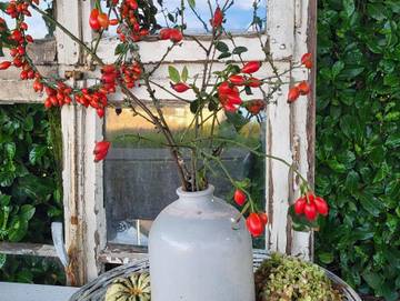 Ferienwohnung für 2 Personen in Brockscheid, Vulkaneifel, Bild 1