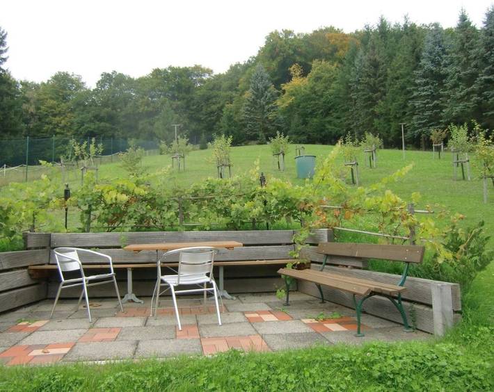 Ferienhaus für 2 Personen, mit Terrasse und Garten sowie Ausblick in Stolberg (Südharz) - 3