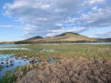 Vacation Home for 6 Guests in Maine, USA, Picture 4