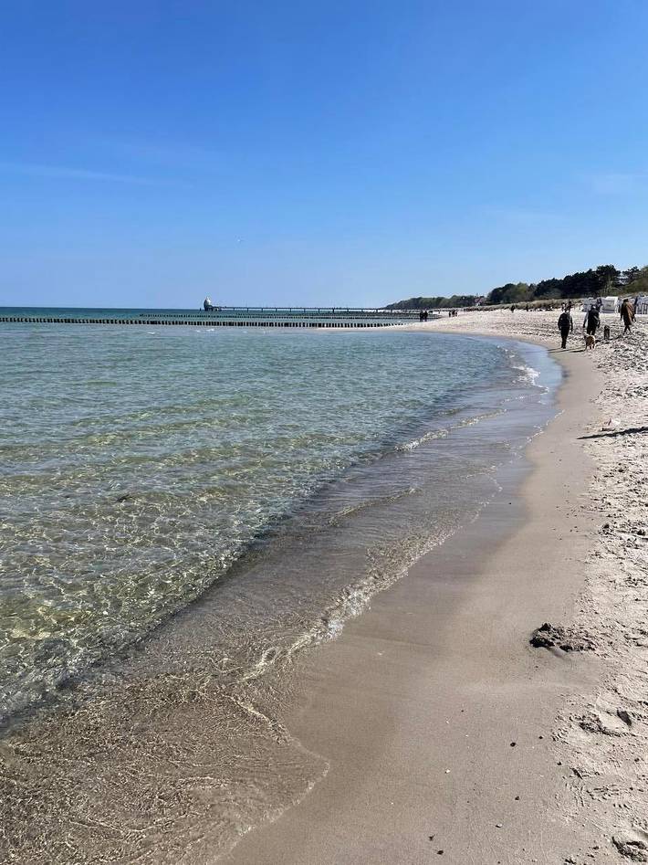 Ferienwohnung für 4 Personen, mit Garten und Terrasse, mit Haustier in Groß Mohrdorf - 4