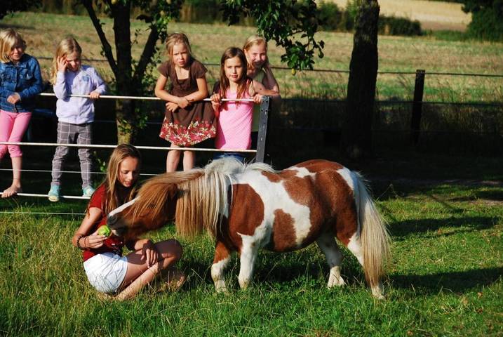 Ferienwohnung für 6 Personen, mit Garten, kinderfreundlich in Wangels - 2