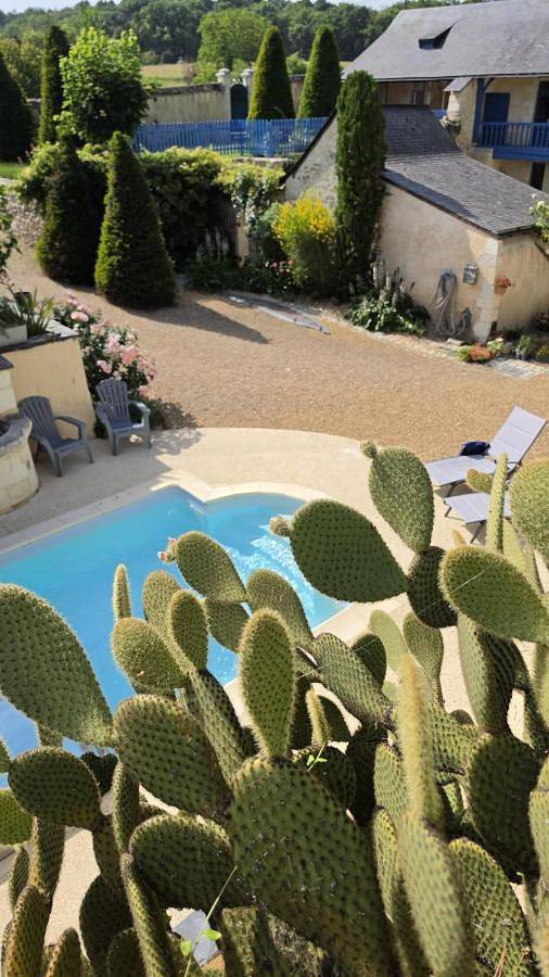 L'epissantre-24p- Piscine- Gite Troglodytique in Fontaine-Milon, Vallée de la Loire