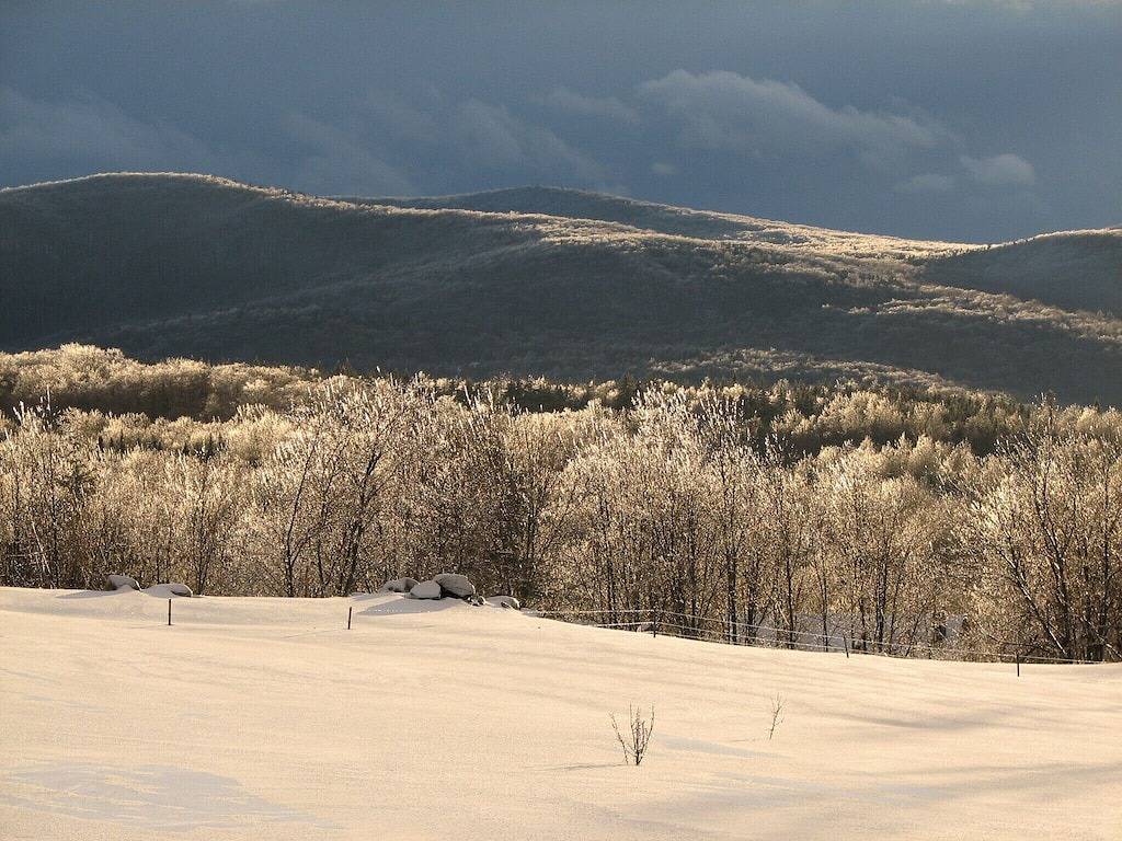 Cottage for 6 People in Vermont, USA