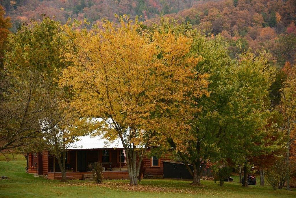Moderne rustikale Hütte auf 5 Hektar in Cherokee National mit herrlichem Blick auf die Berge! in Monroe County (TN)