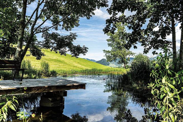 Chalet für 8 Personen, mit Garten in Oberstaufen - 4