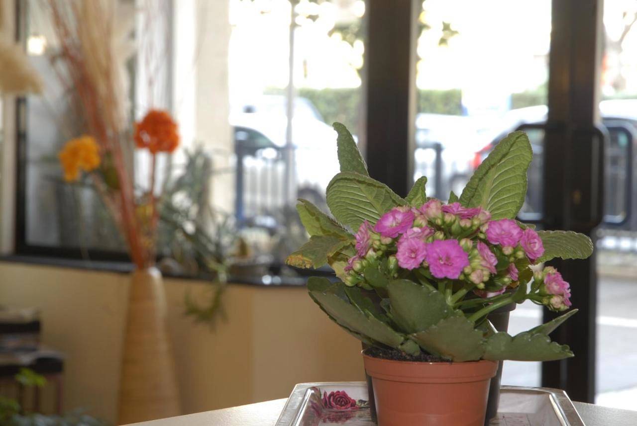 Hotel Provenza in Ventimiglia (Ville), Région de Vintimille