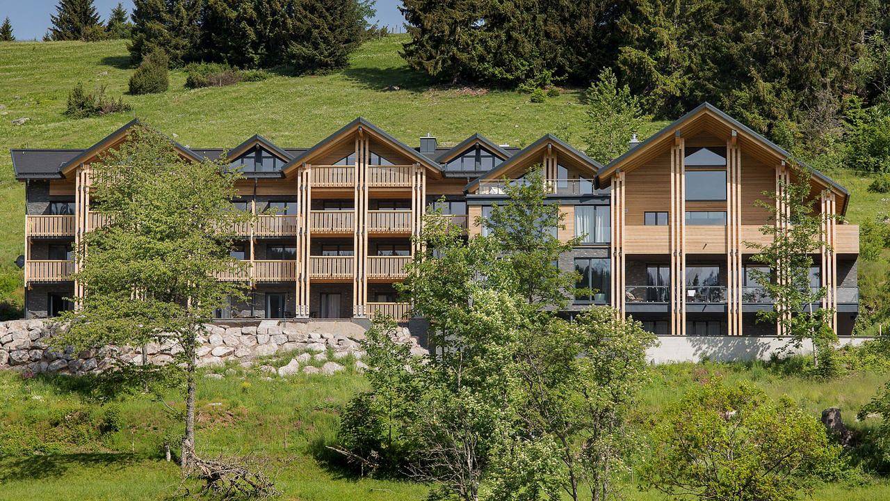 Ganze Wohnung, Appartement für 3 Personen (50 m²) in Feldberg (Hochschwarzwald) in Suedlicher Schwarzwald, Feldberg