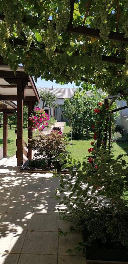 Ferienwohnung für 4 Personen, mit Terrasse und Garten sowie Ausblick in Sankt Andrä am Zicksee