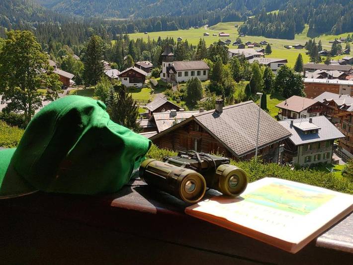 Gîte pour 2 personnes, avec balcon et vue dans Les Diablerets