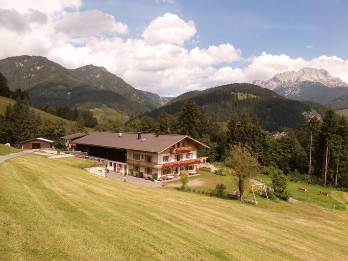 Gîte pour 5 personnes, avec jardin, adapté aux familles à Hochfilzen - 3