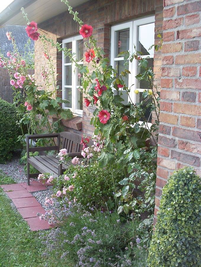 Ferienwohnung für 4 Personen, mit Garten und Seeblick sowie Terrasse in Pellworm - 2