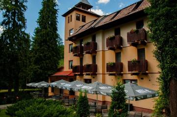 Hôtel pour 5 personnes, avec jardin et sauna ainsi que piscine et vue dans Mureș