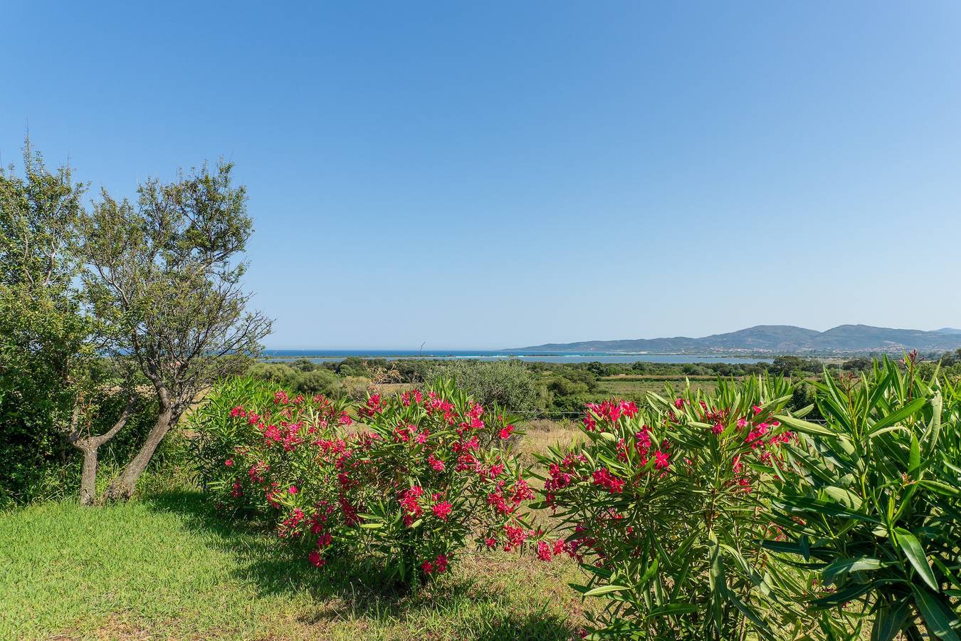 Ferienhaus "Home Residenz Barbara" mit Garten & Balkon in Terrapadedda, San Teodoro