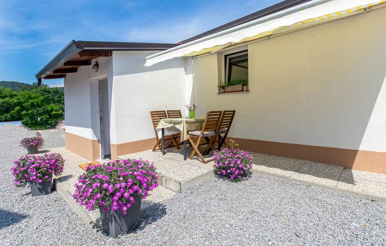 Bauernhof für 6 Personen, mit Terrasse und Garten, mit Haustier in Slowenien - 2