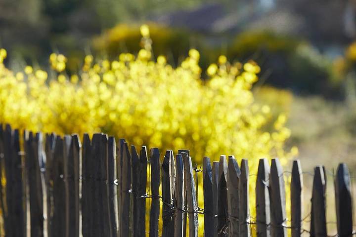 Hôtel pour 2 personnes, avec terrasse dans Contis-Plage - 4