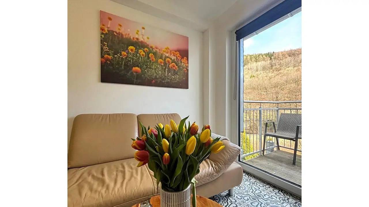 Ganze Ferienwohnung, Ferienwohnung für 2 Personen (38 m²) in Willingen (Upland) in Willingen, die Mittelgebirge