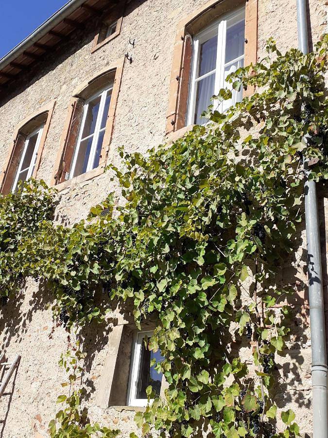 Gîte pour 2 personnes, avec vue et jardin dans Toul - 4