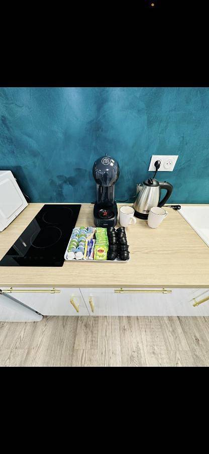 Gîte pour 4 personnes, avec Terrasse ainsi que Jacuzzi et Sauna à Caissargues - 4
