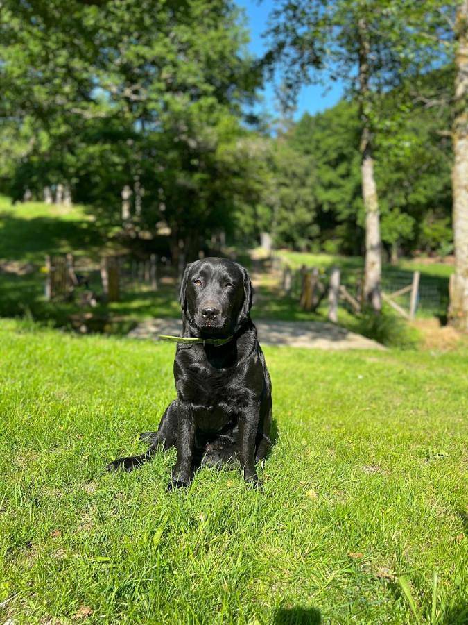 Location de vacances pour 4 personnes, avec jardin ainsi que vue et terrasse à Saint-Julien-le-Petit - 4