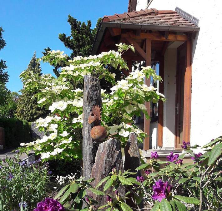 Vakantiewoning voor 2 personen, met Terras in Villingen-Schwenningen