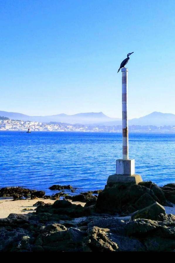 Ferienwohnung für 6 Personen, mit Ausblick und Terrasse sowie Garten - 1