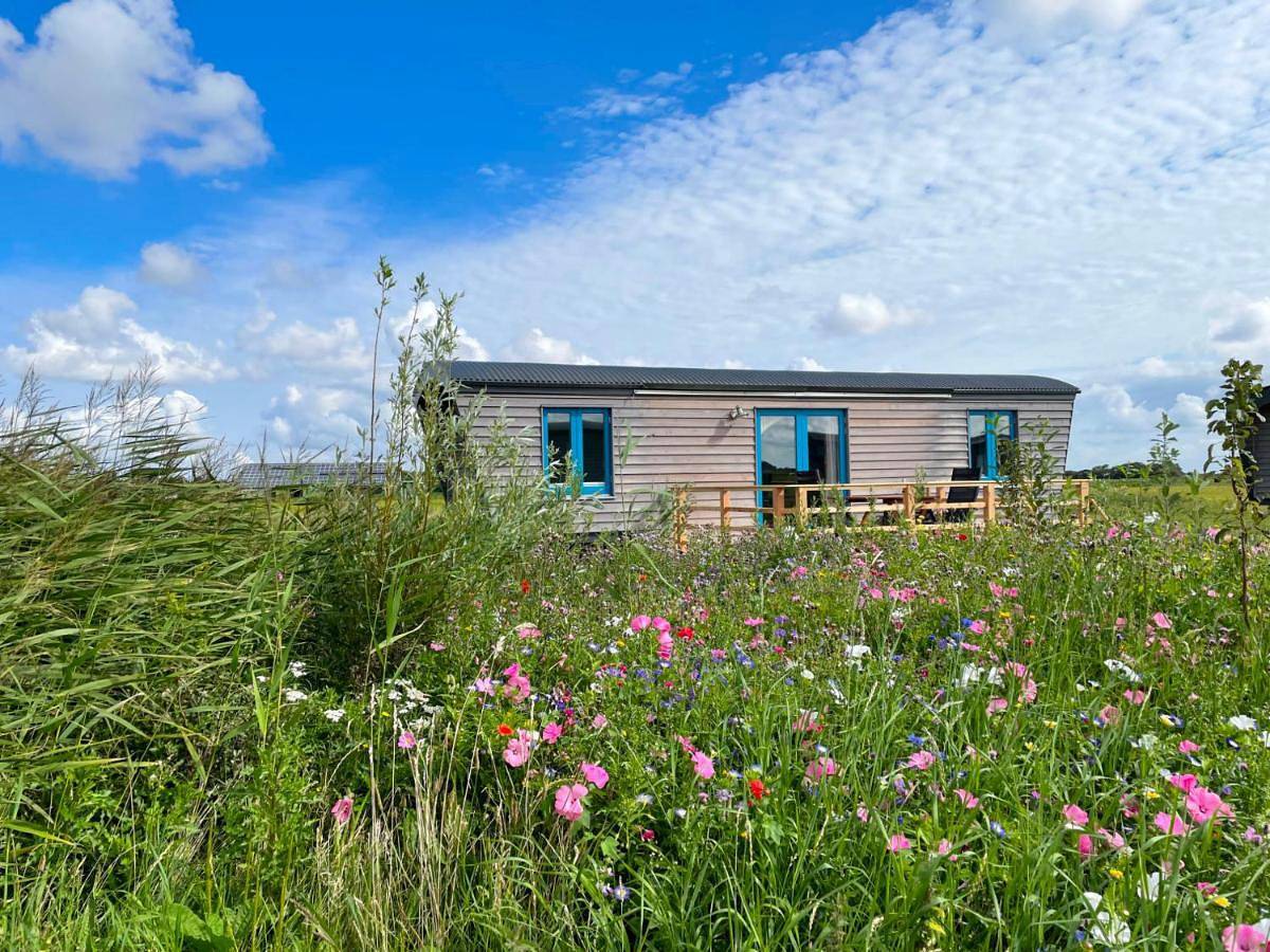 Schäferwagen Tiny House auf dem Friesenhof in Pellworm, Nordfriesland
