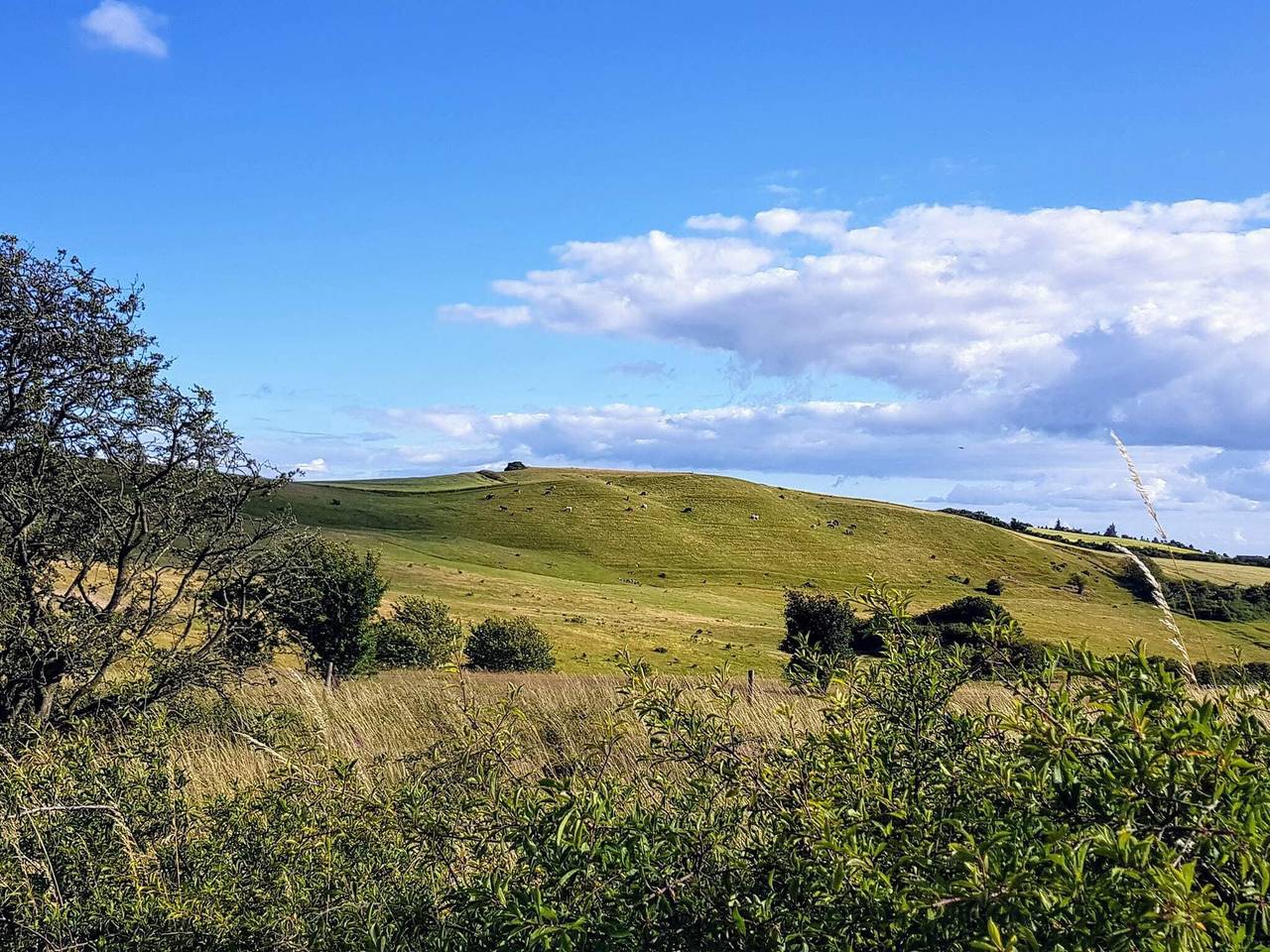 Badeurlaub in Helgenäen in Knebel, Süddjursland