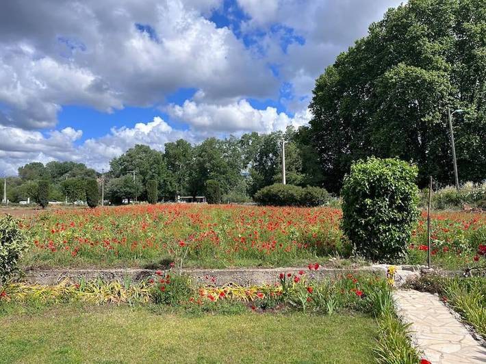 Location de vacances pour 6 personnes, avec balcon et jardin à Pégomas - 4