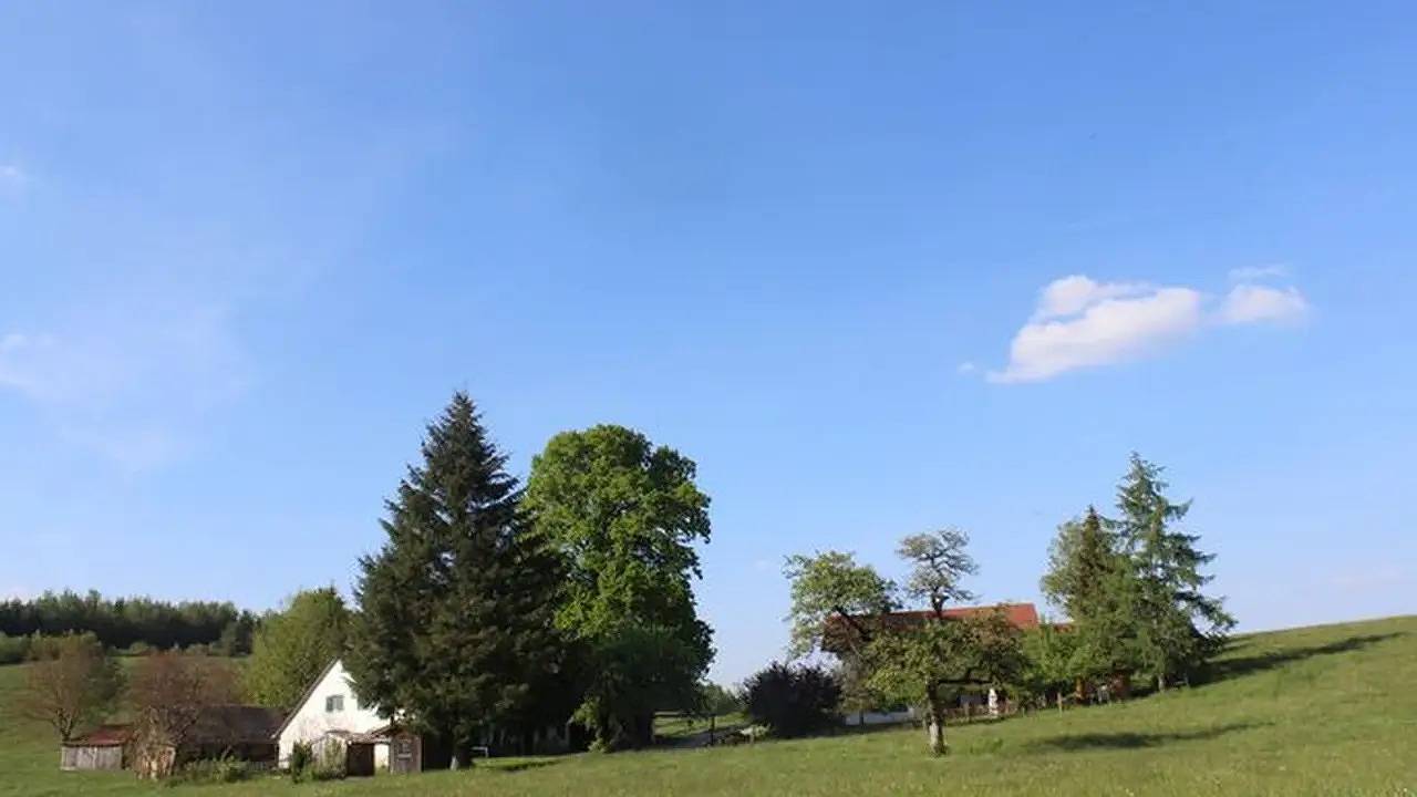 Ganze Ferienwohnung, Ferienwohnung für 6 Personen (105 m²) in Wangen im Allgäu in Wangen im Allgäu, Region Bodensee-Oberschwaben